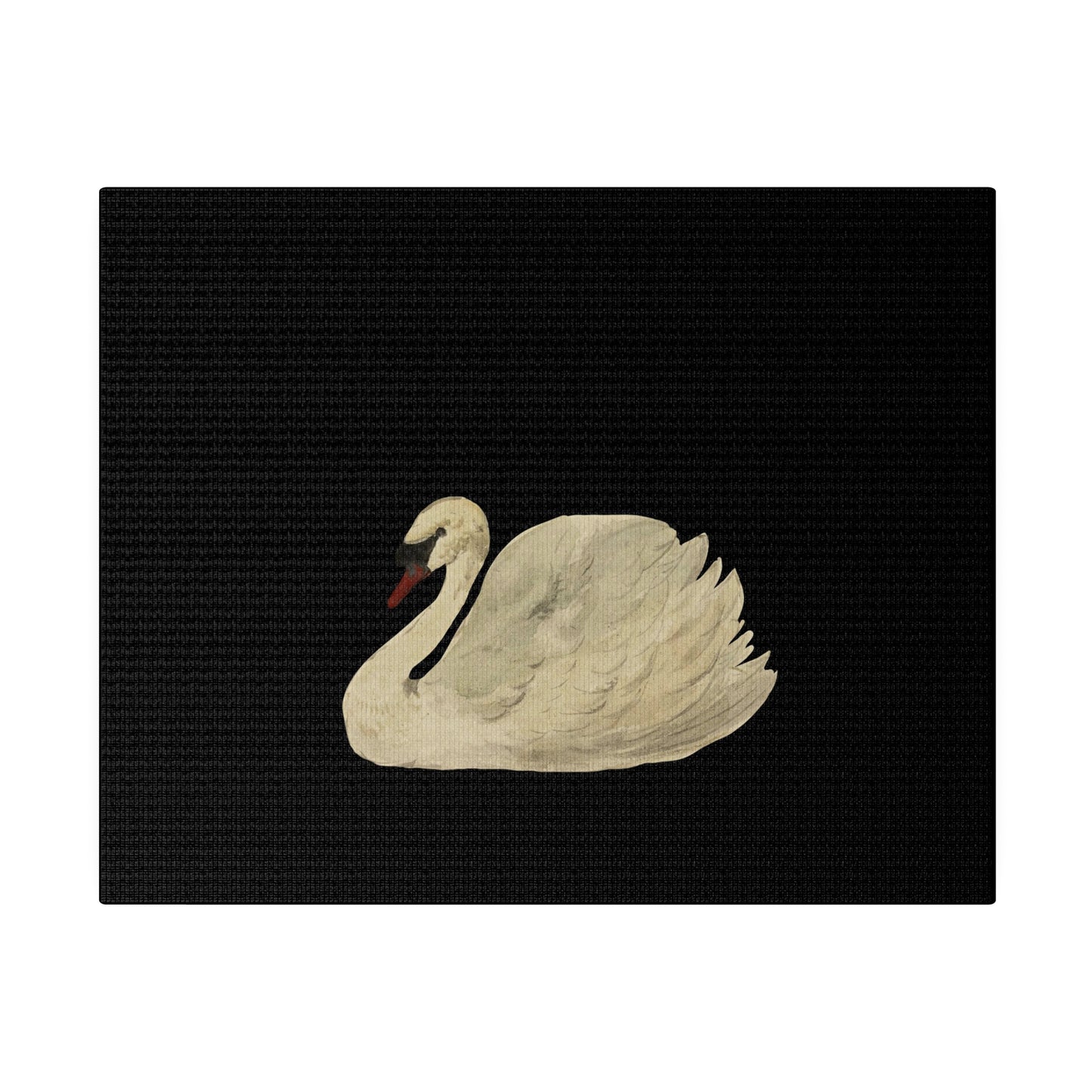 Swan - Matte Canvas, Stretched, 0.75"