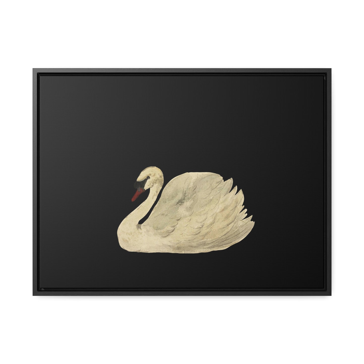 Swan - XL Framed Gallery Canvas - 18x24 inches