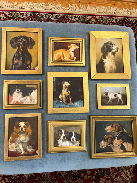 Dog Gallery Wall