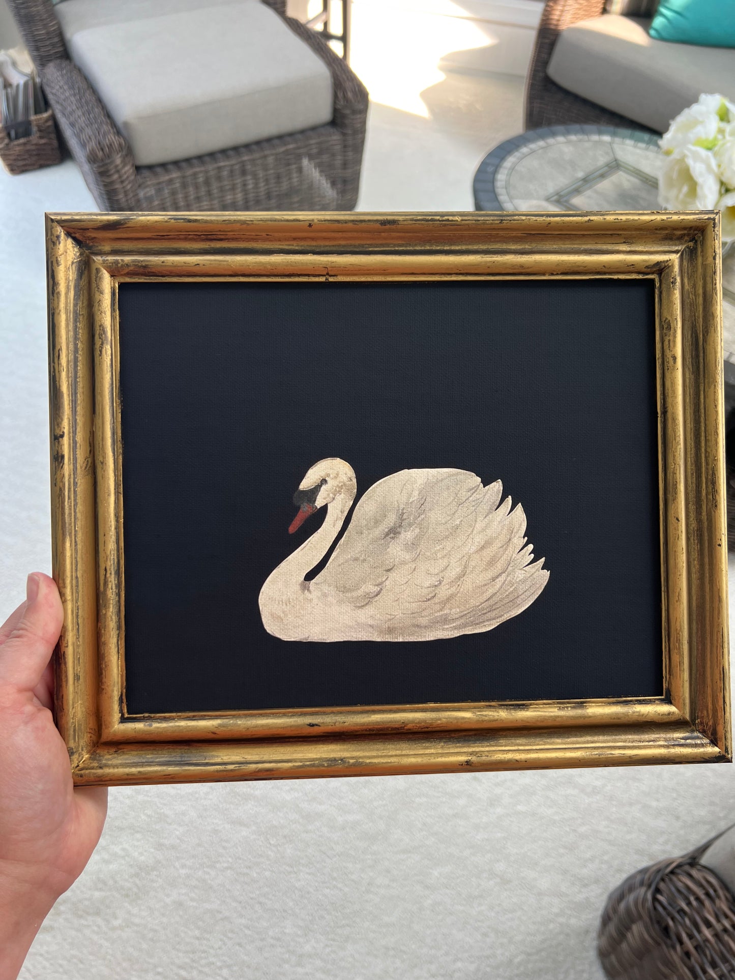 White Swan - Canvas Print in Gold Frame