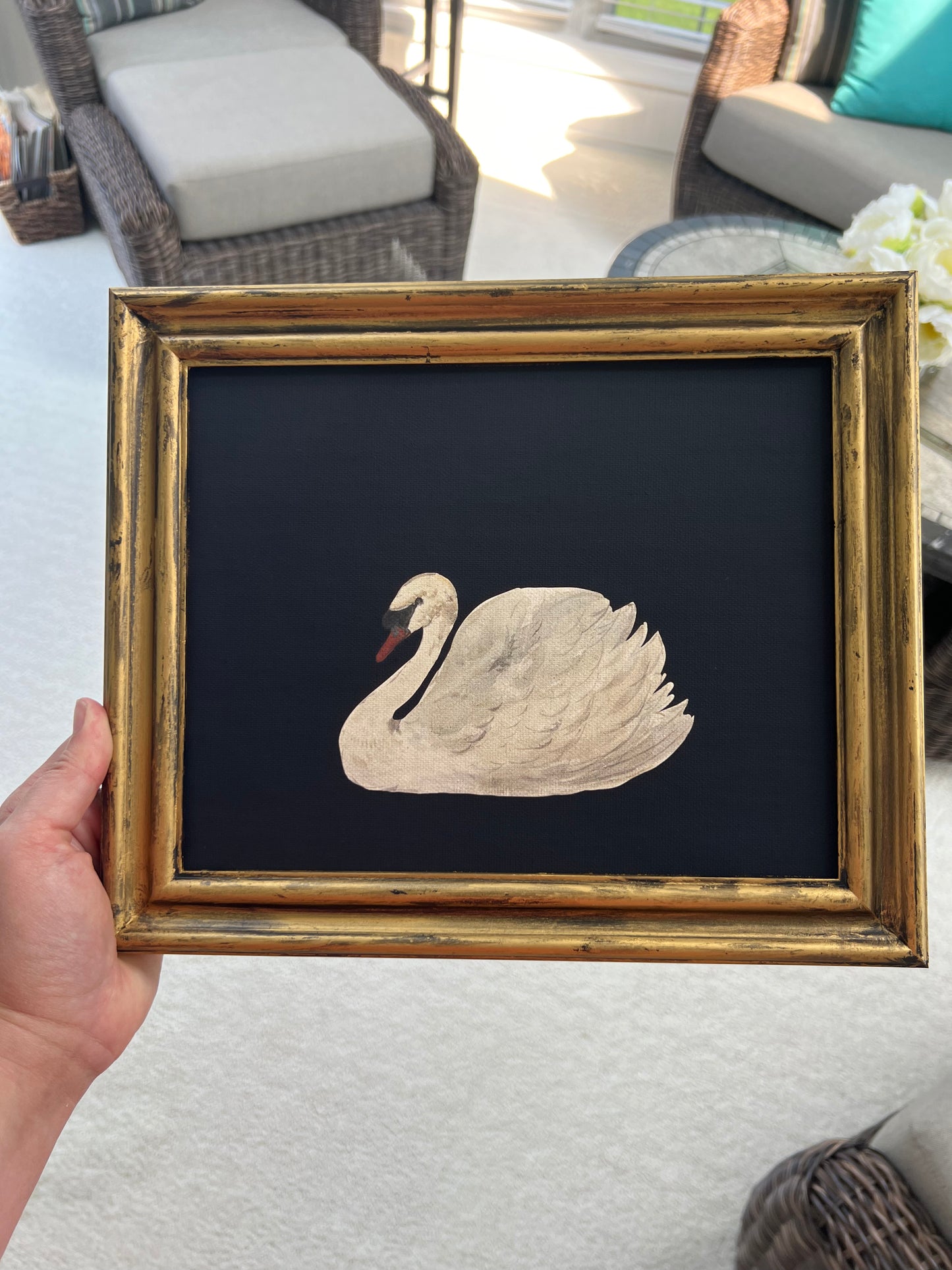 White Swan - Canvas Print in Gold Frame