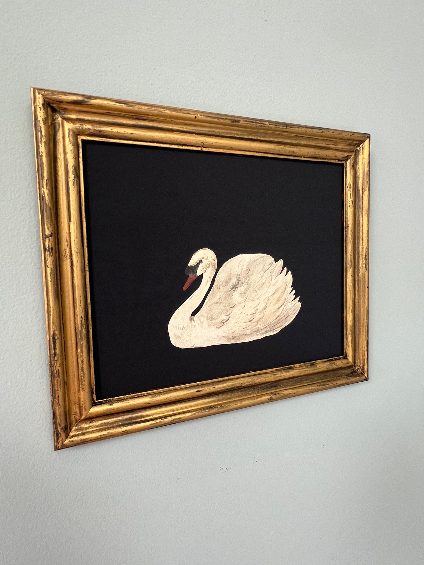 White Swan - Canvas Print in Gold Frame