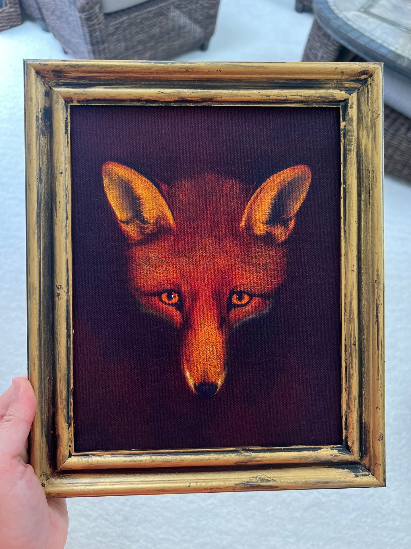 Fox - Print on Canvas in Gold Frame