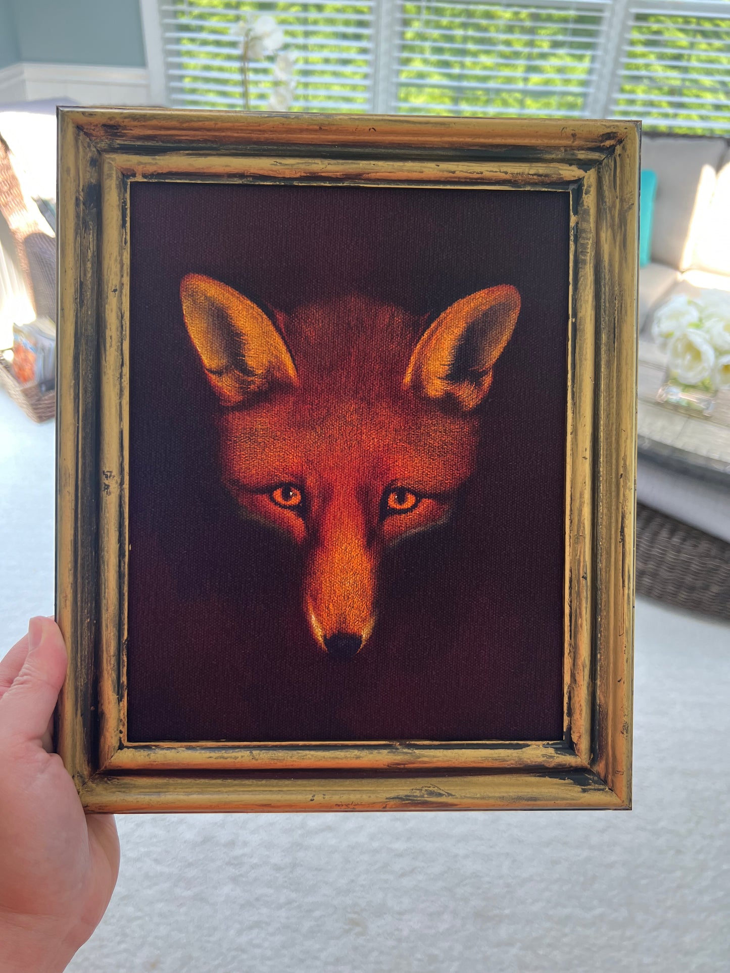 Fox - Print on Canvas in Gold Frame