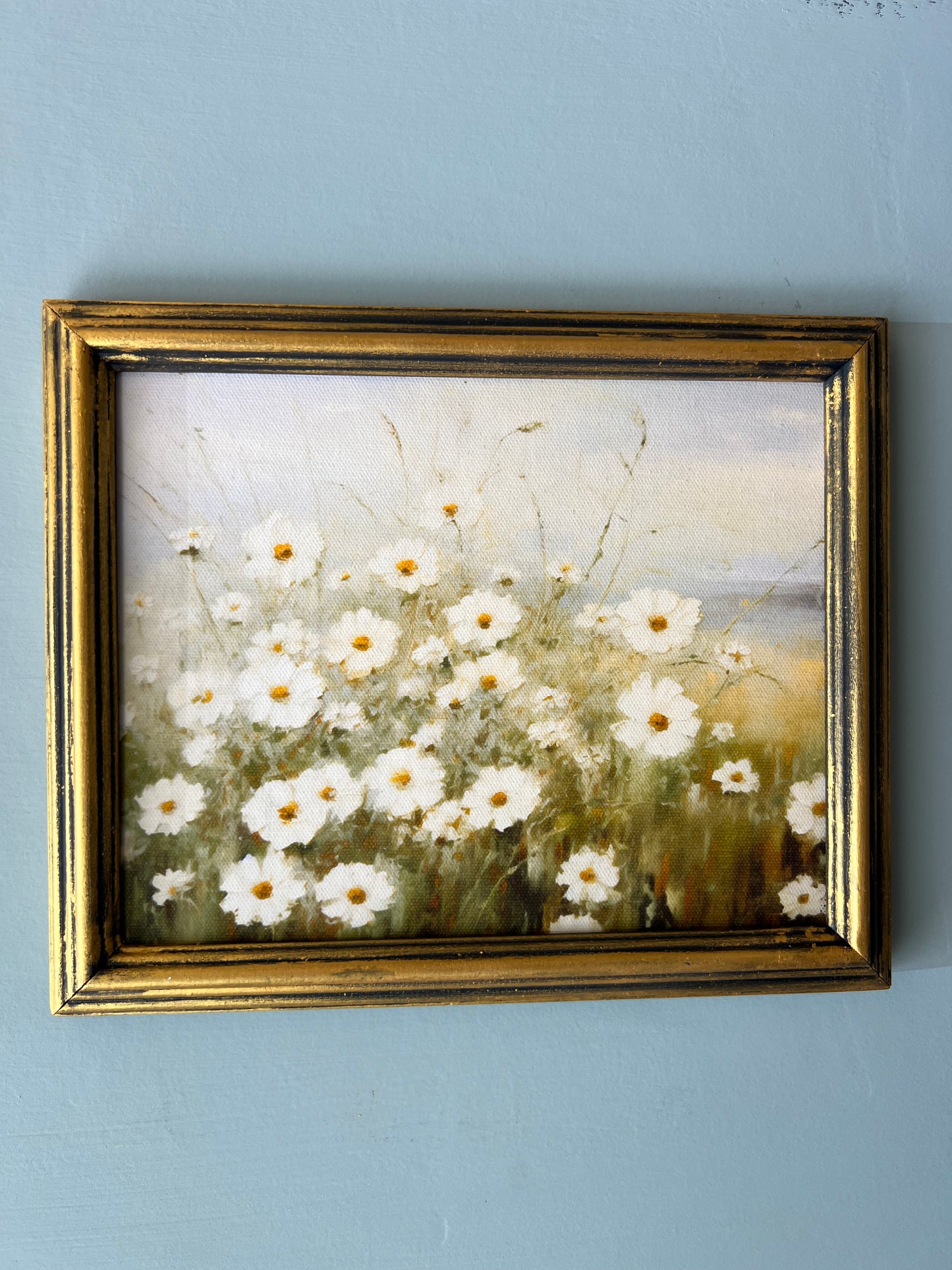 Wild Daisies - Canvas Print in Vintage Gold Frame