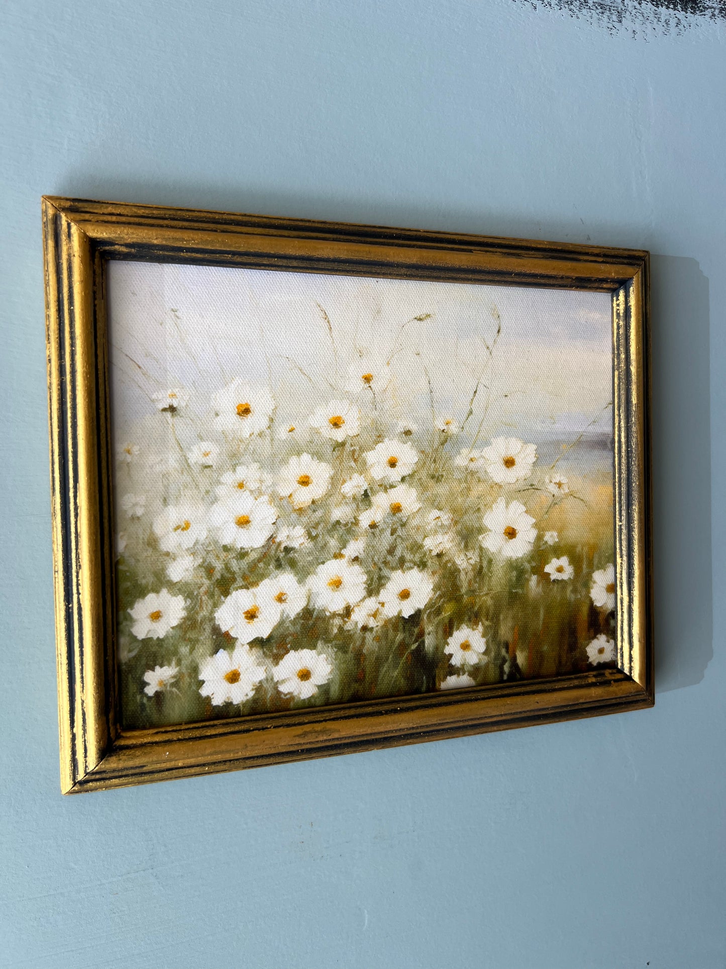 Wild Daisies - Canvas Print in Vintage Gold Frame