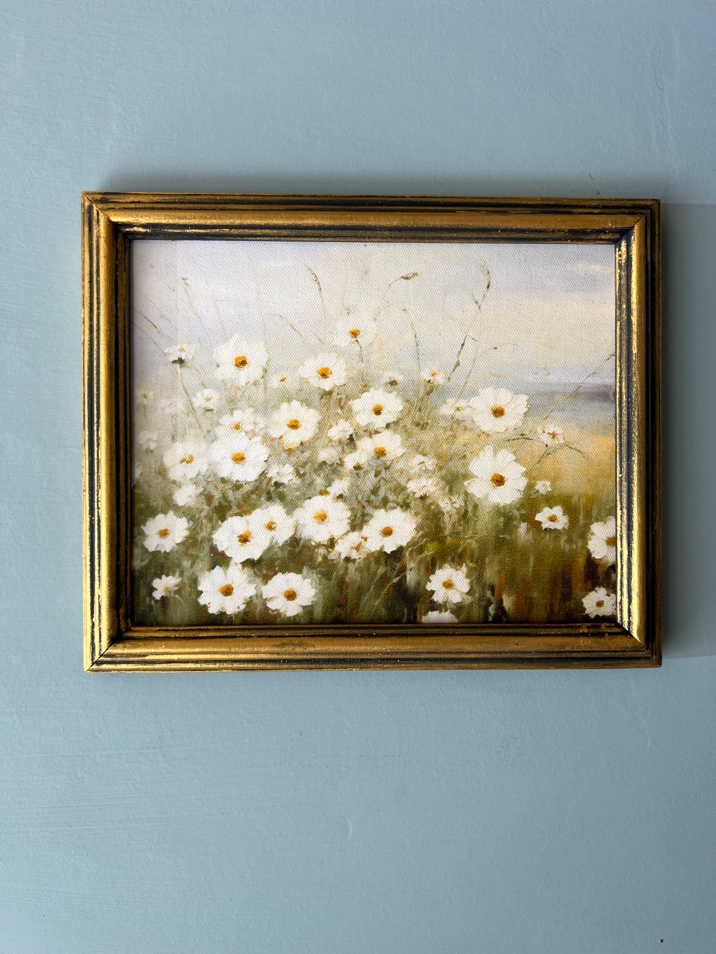 Wild Daisies - Canvas Print in Vintage Gold Frame