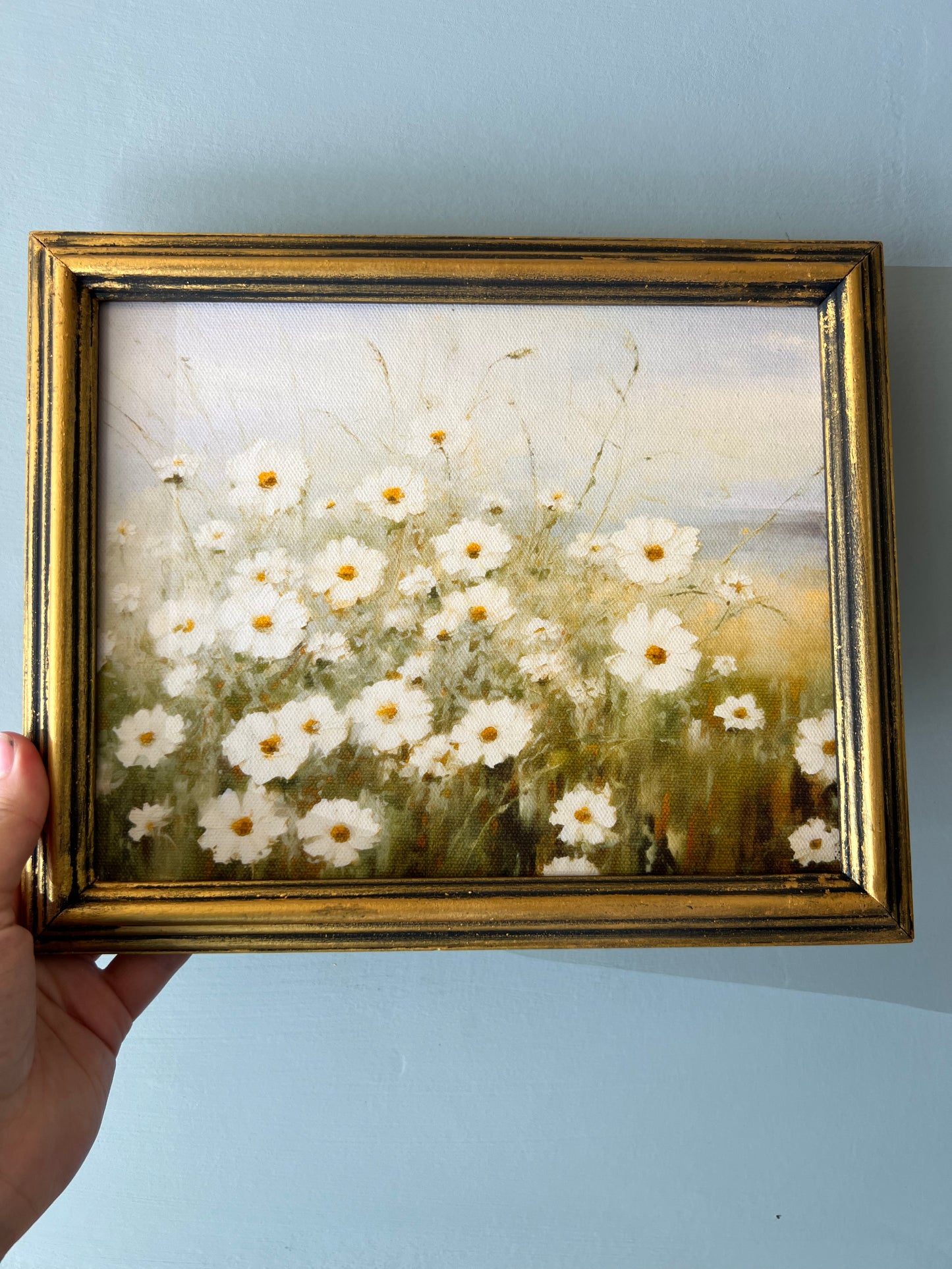 Wild Daisies - Canvas Print in Vintage Gold Frame