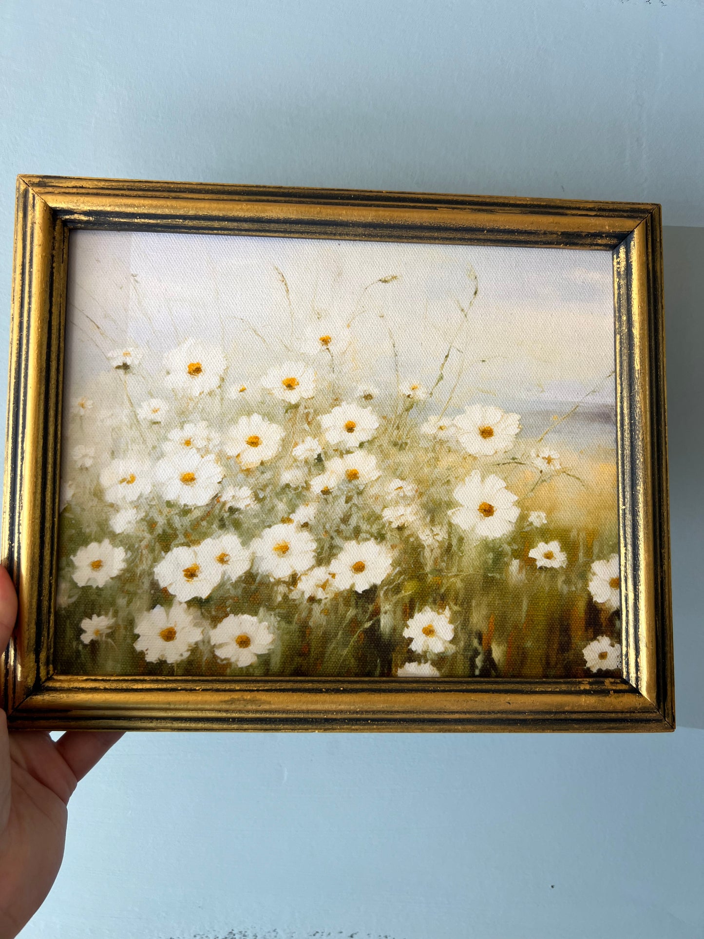 Wild Daisies - Canvas Print in Vintage Gold Frame