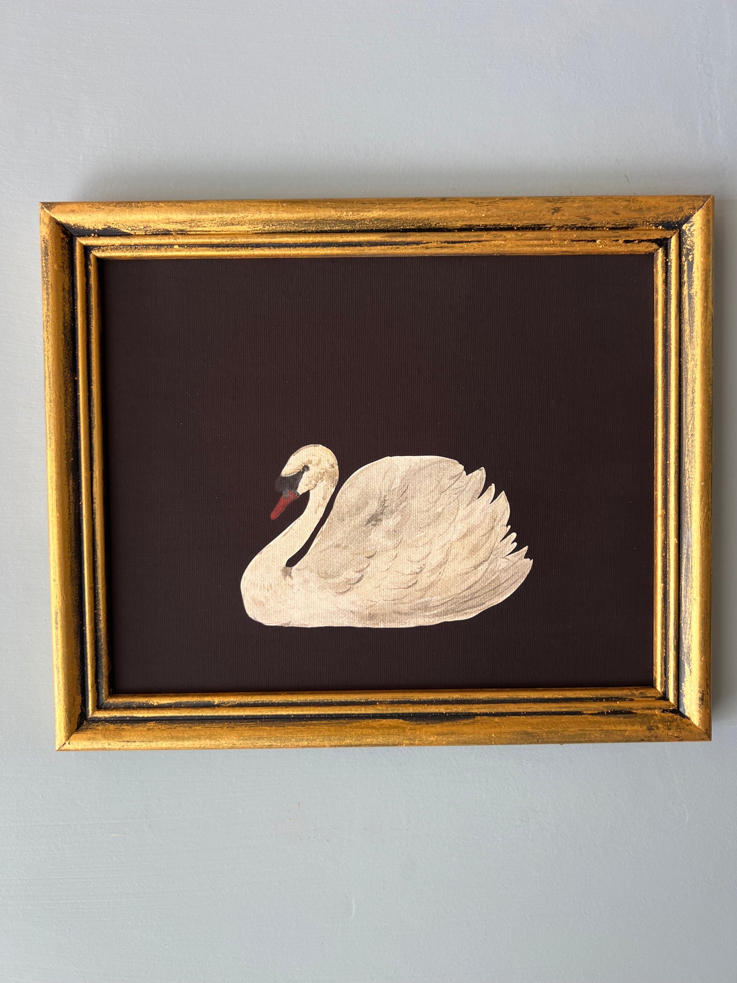 Swan - Canvas Print in Vintage Gold Frame