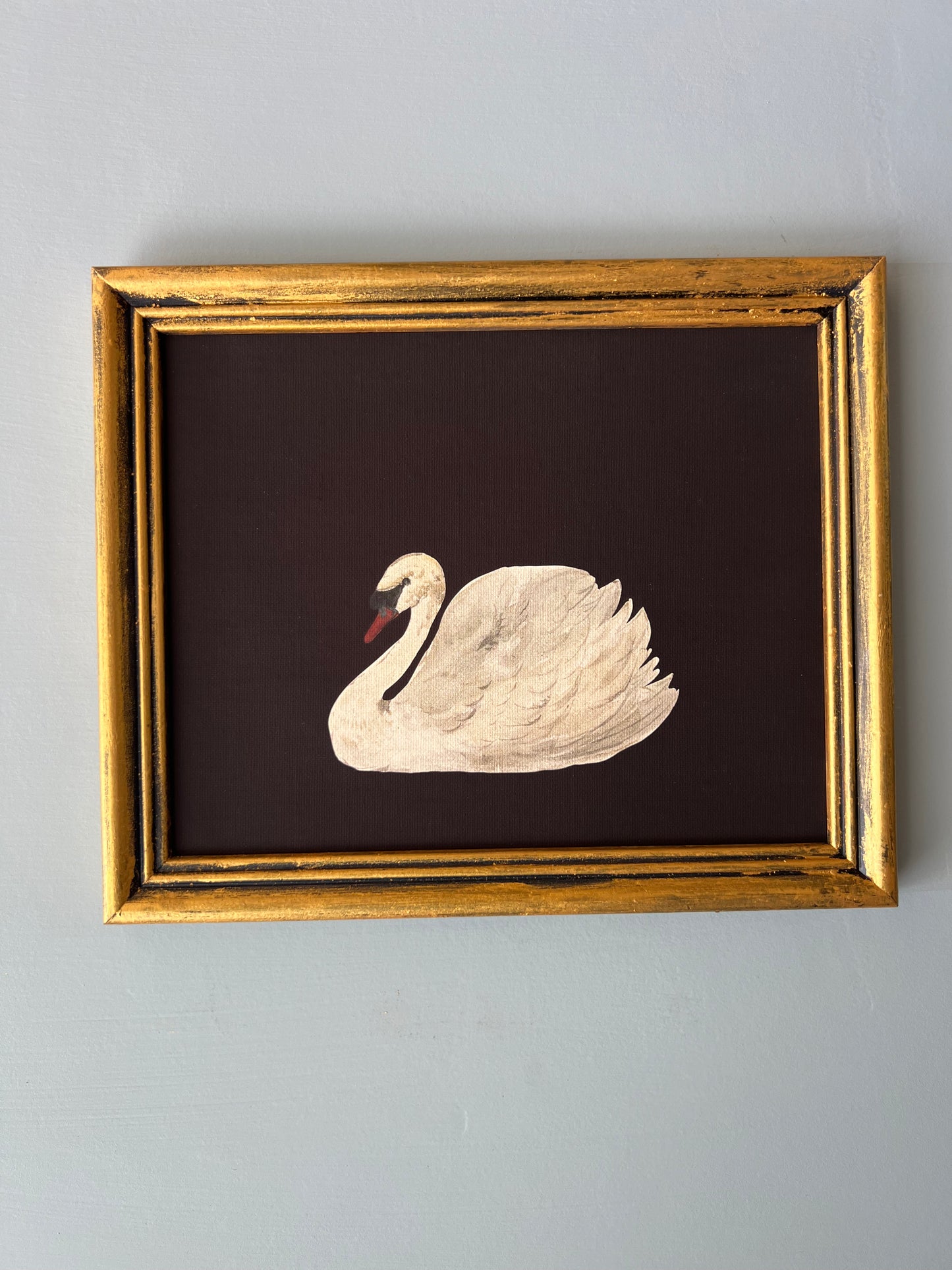 Swan - Canvas Print in Vintage Gold Frame