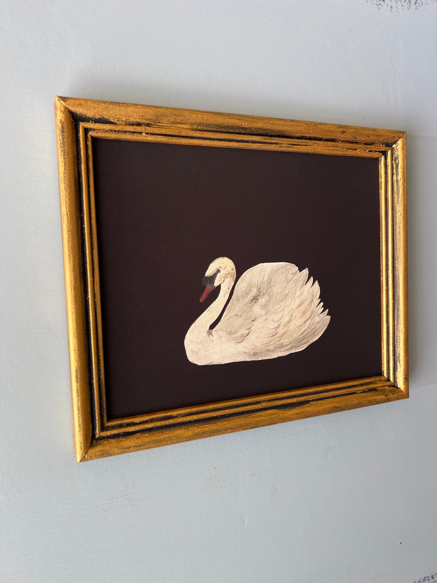 Swan - Canvas Print in Vintage Gold Frame