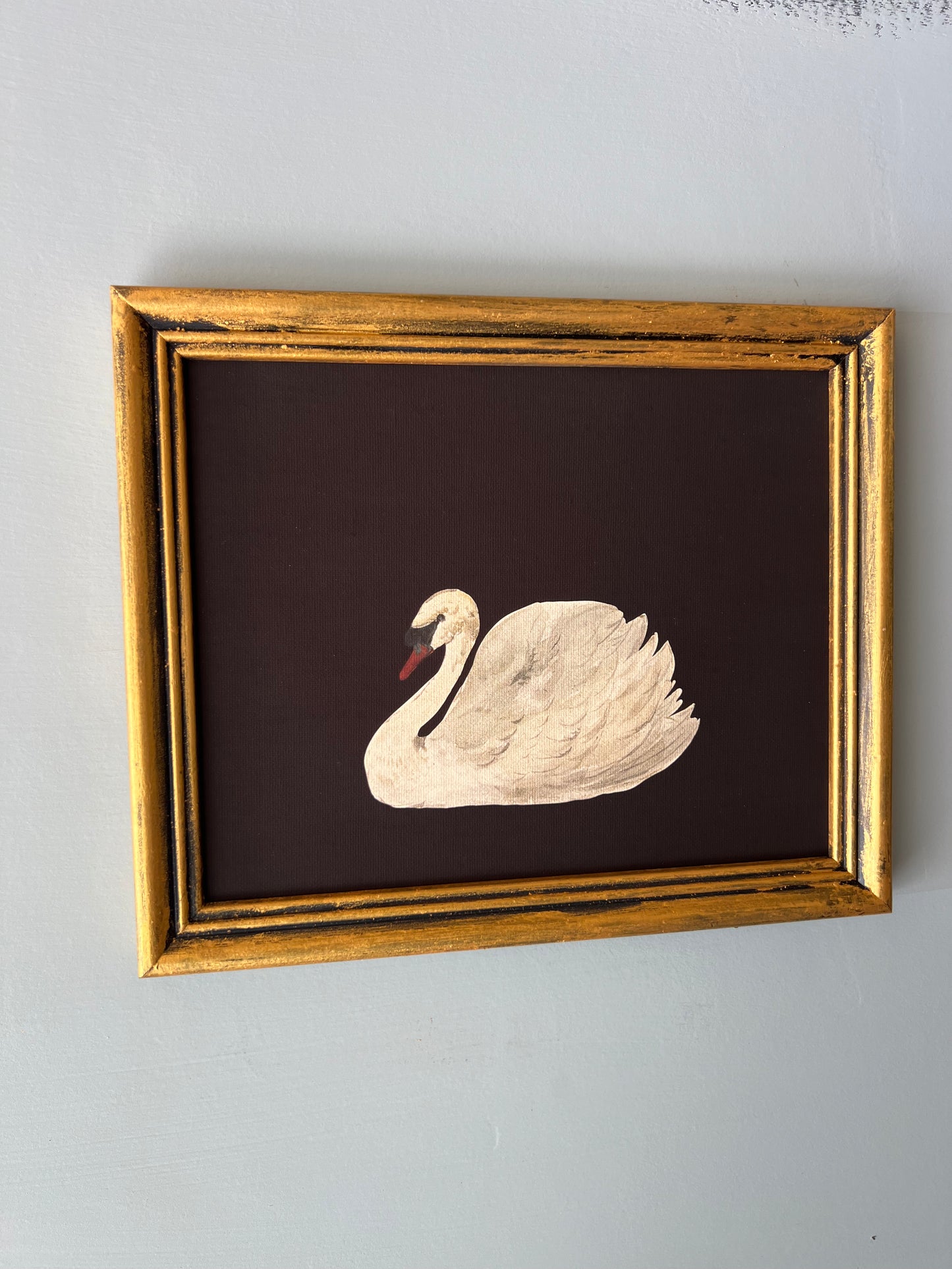 Swan - Canvas Print in Vintage Gold Frame