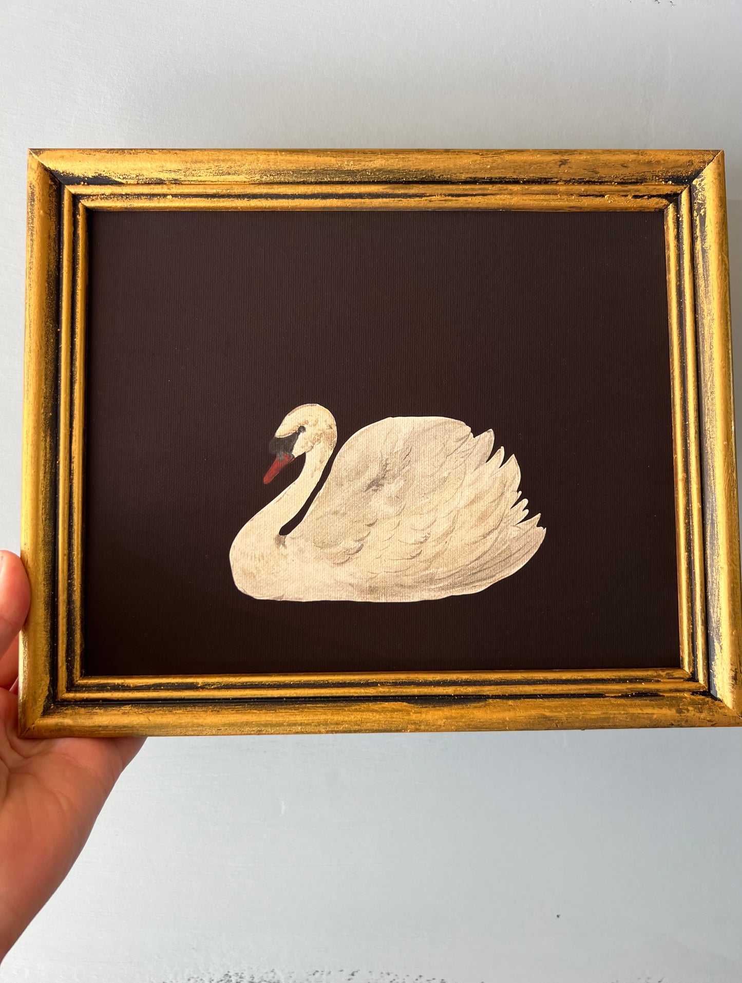 Swan - Canvas Print in Vintage Gold Frame