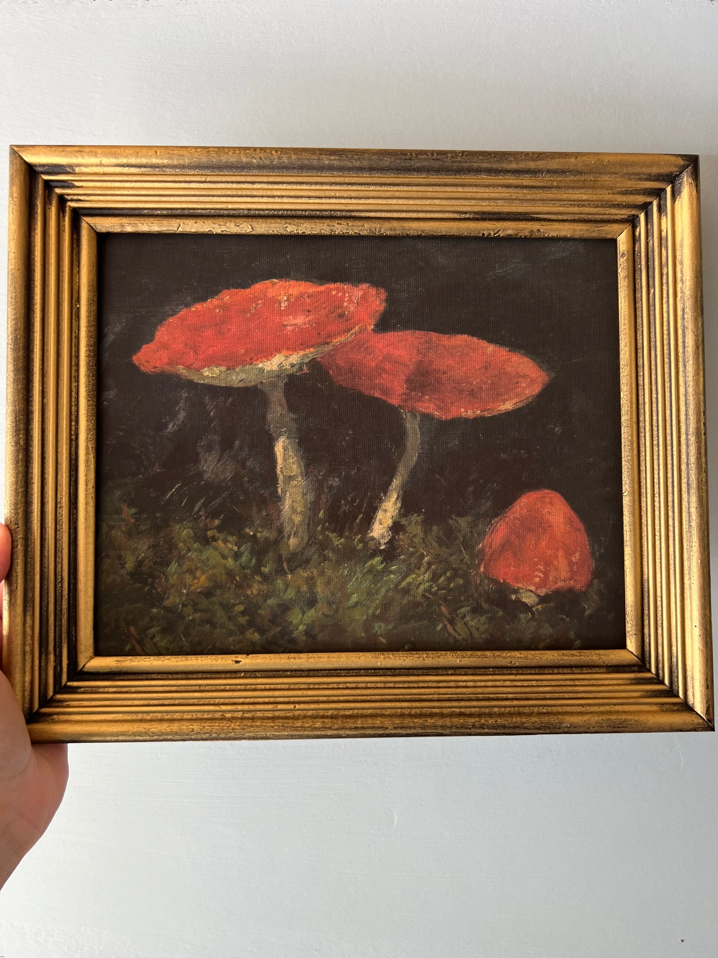 Mushroom - Canvas Print in Vintage Gold Frame