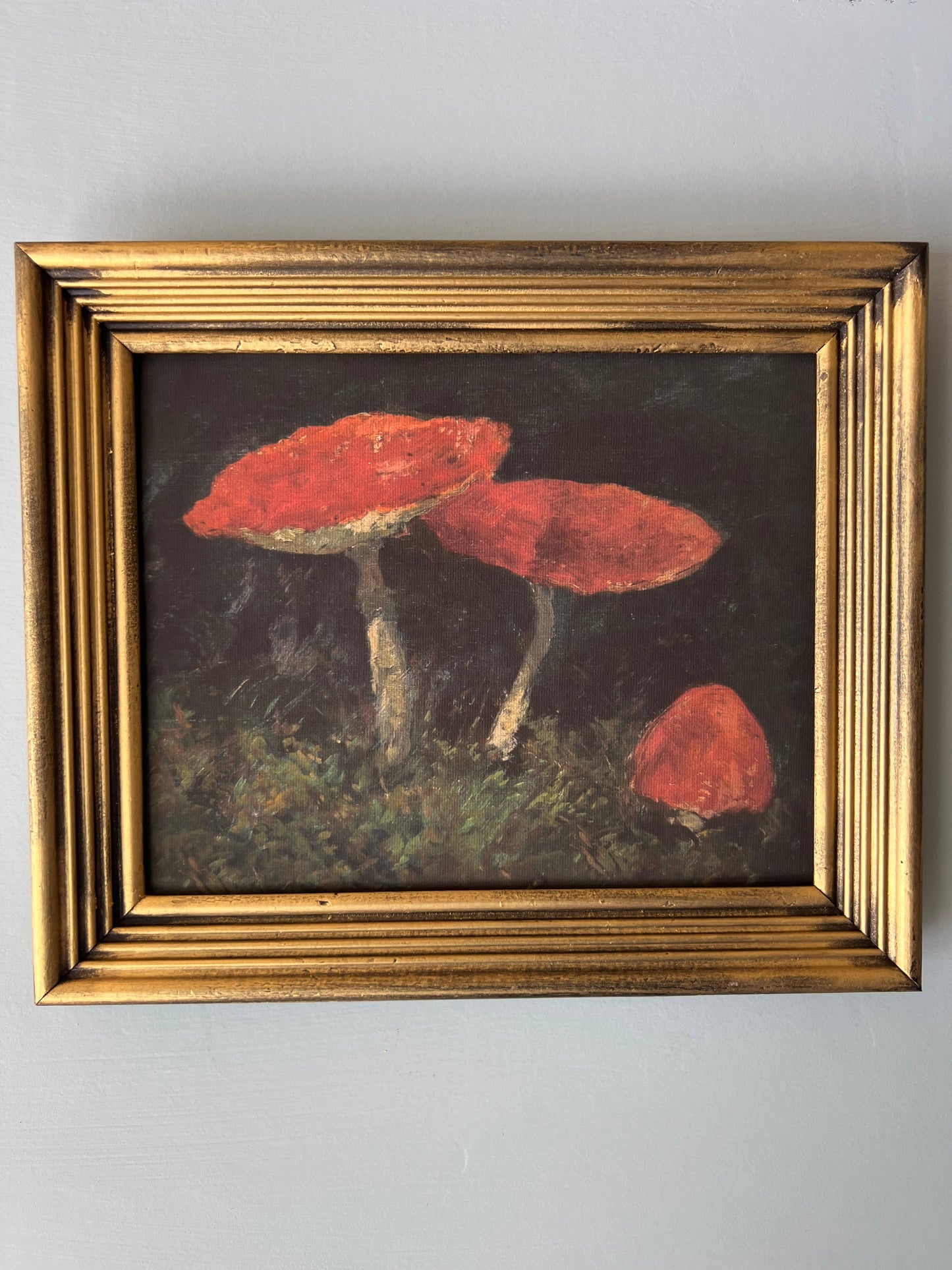 Mushroom - Canvas Print in Vintage Gold Frame