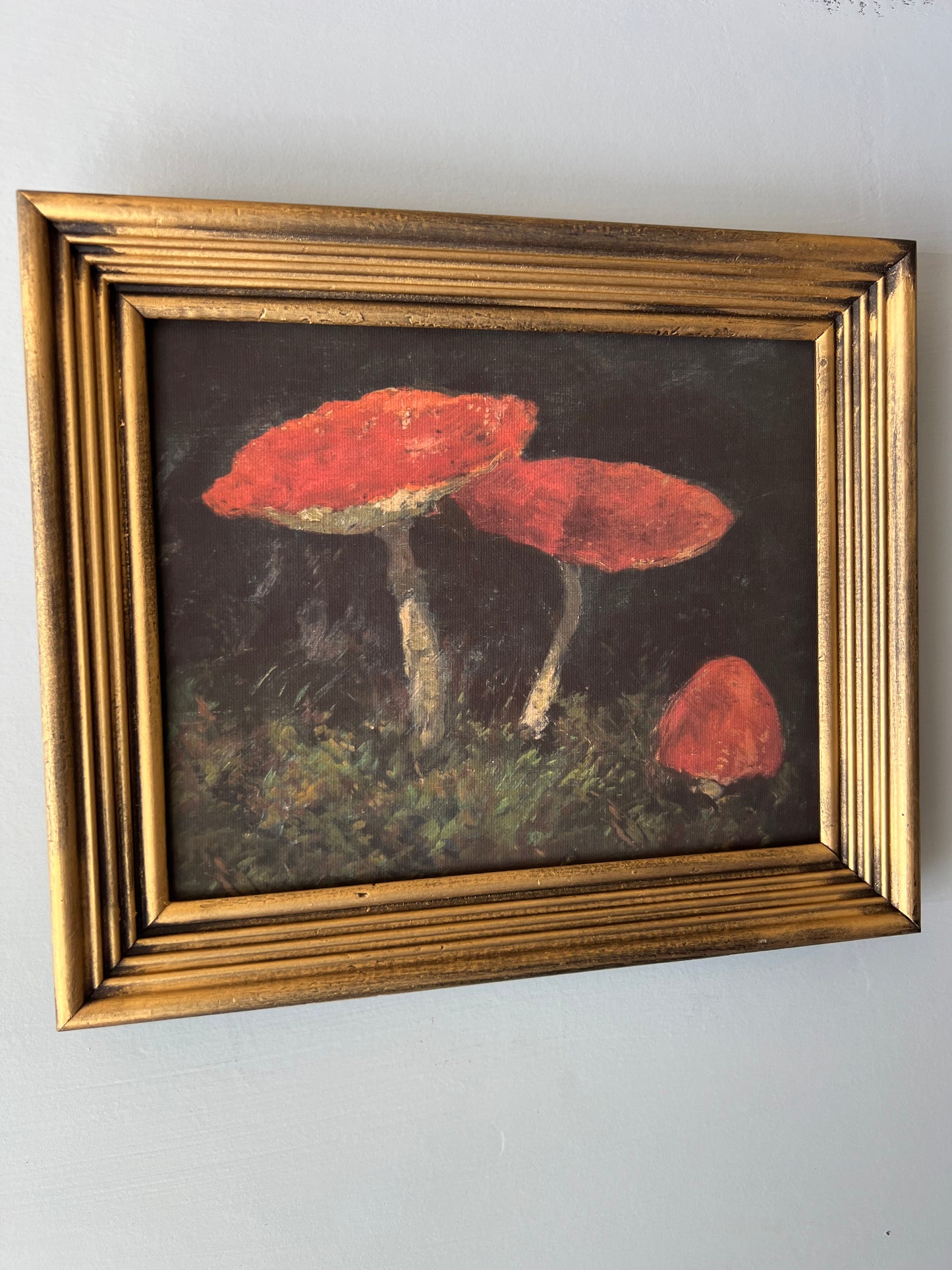 Mushroom - Canvas Print in Vintage Gold Frame