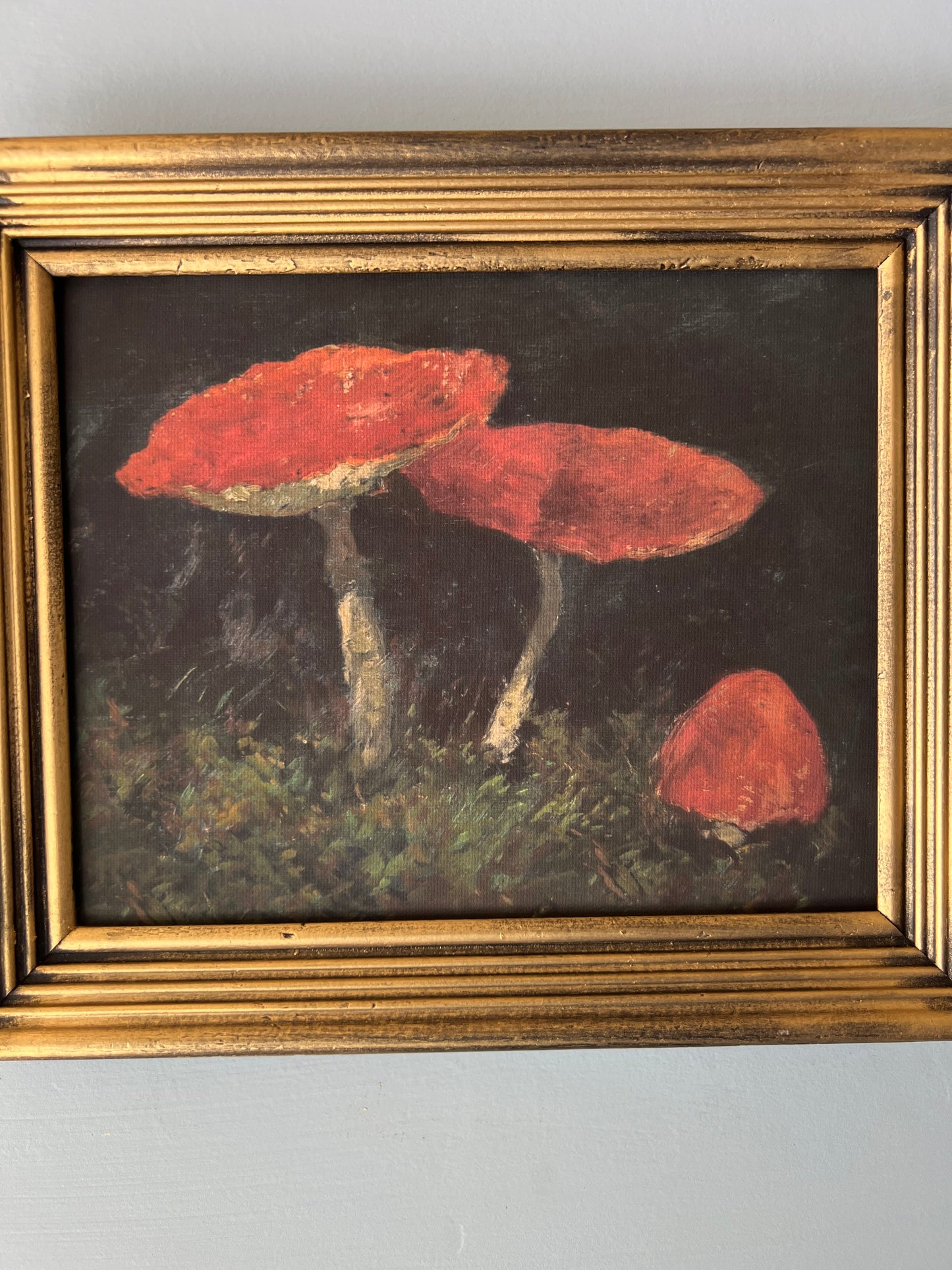 Mushroom - Canvas Print in Vintage Gold Frame