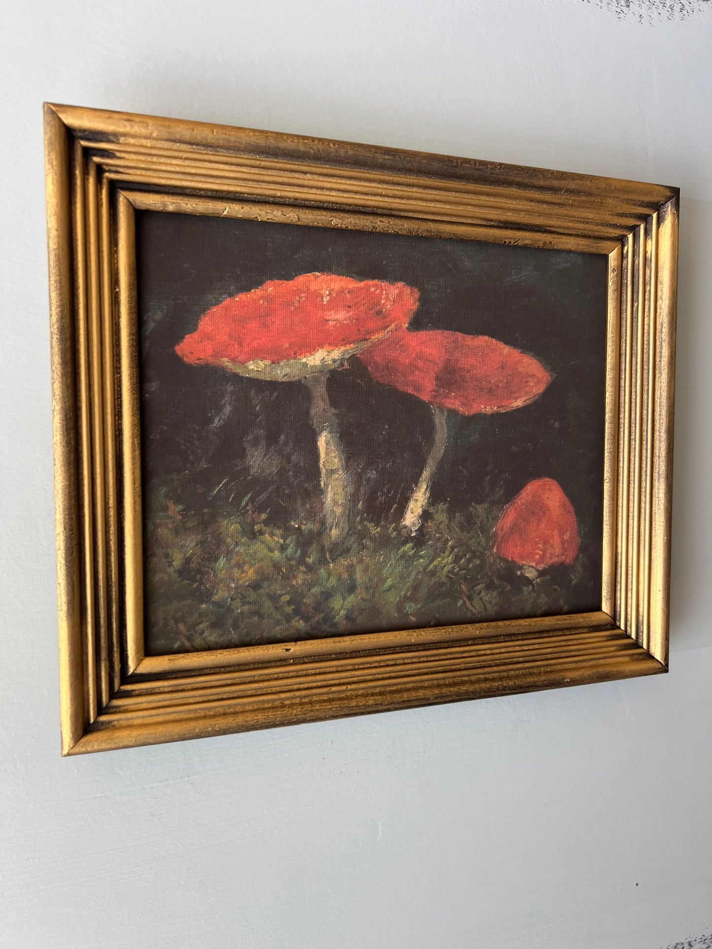 Mushroom - Canvas Print in Vintage Gold Frame