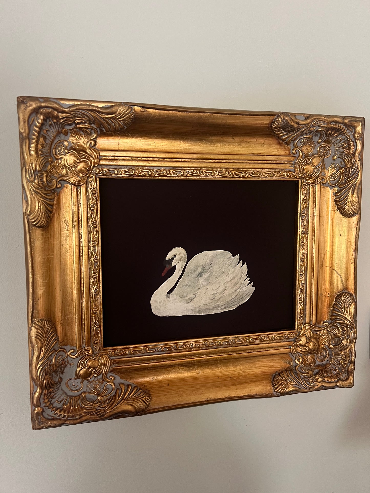 Swan Print in Gold Gilt Frame