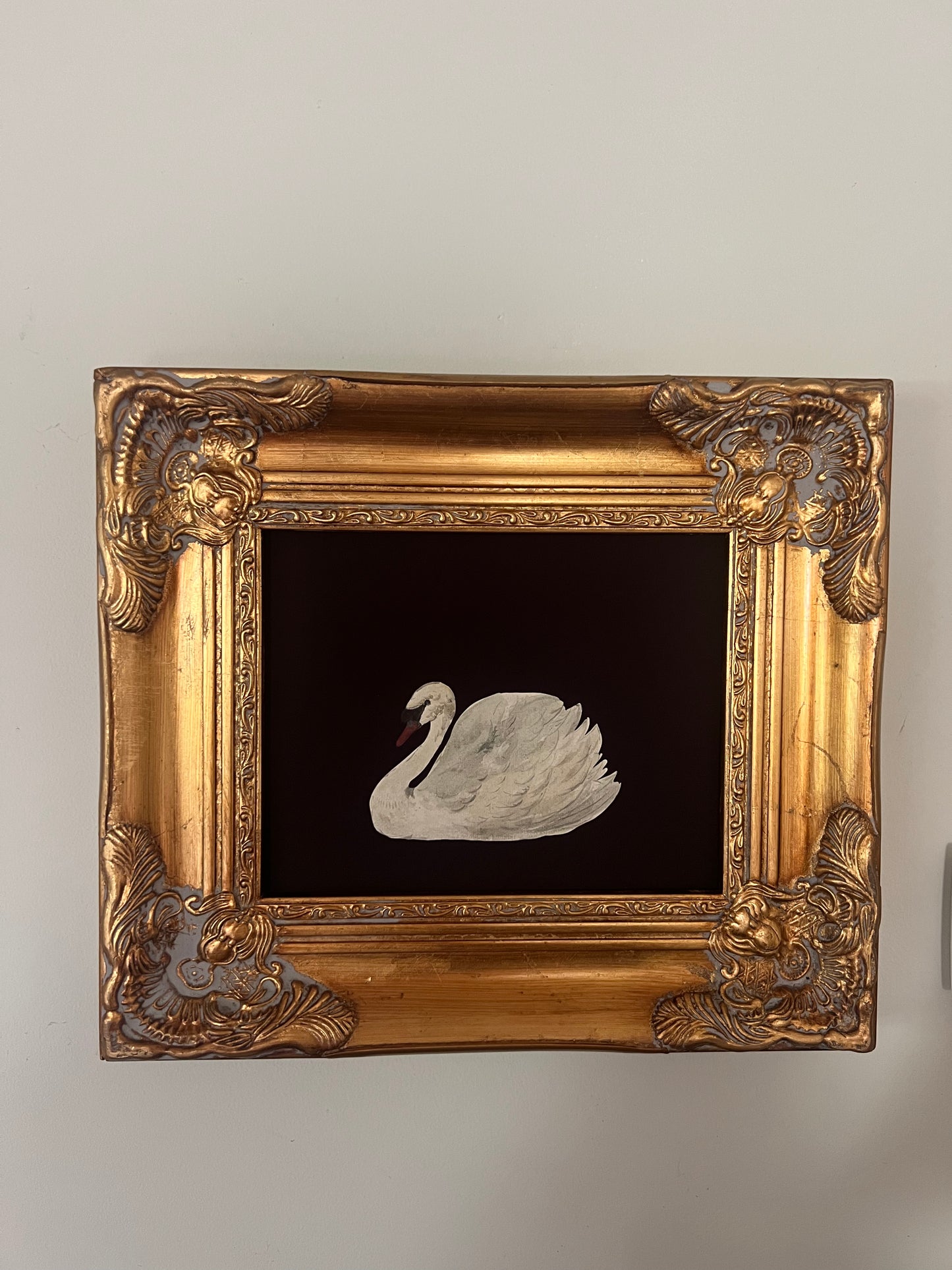 Swan Print in Gold Gilt Frame