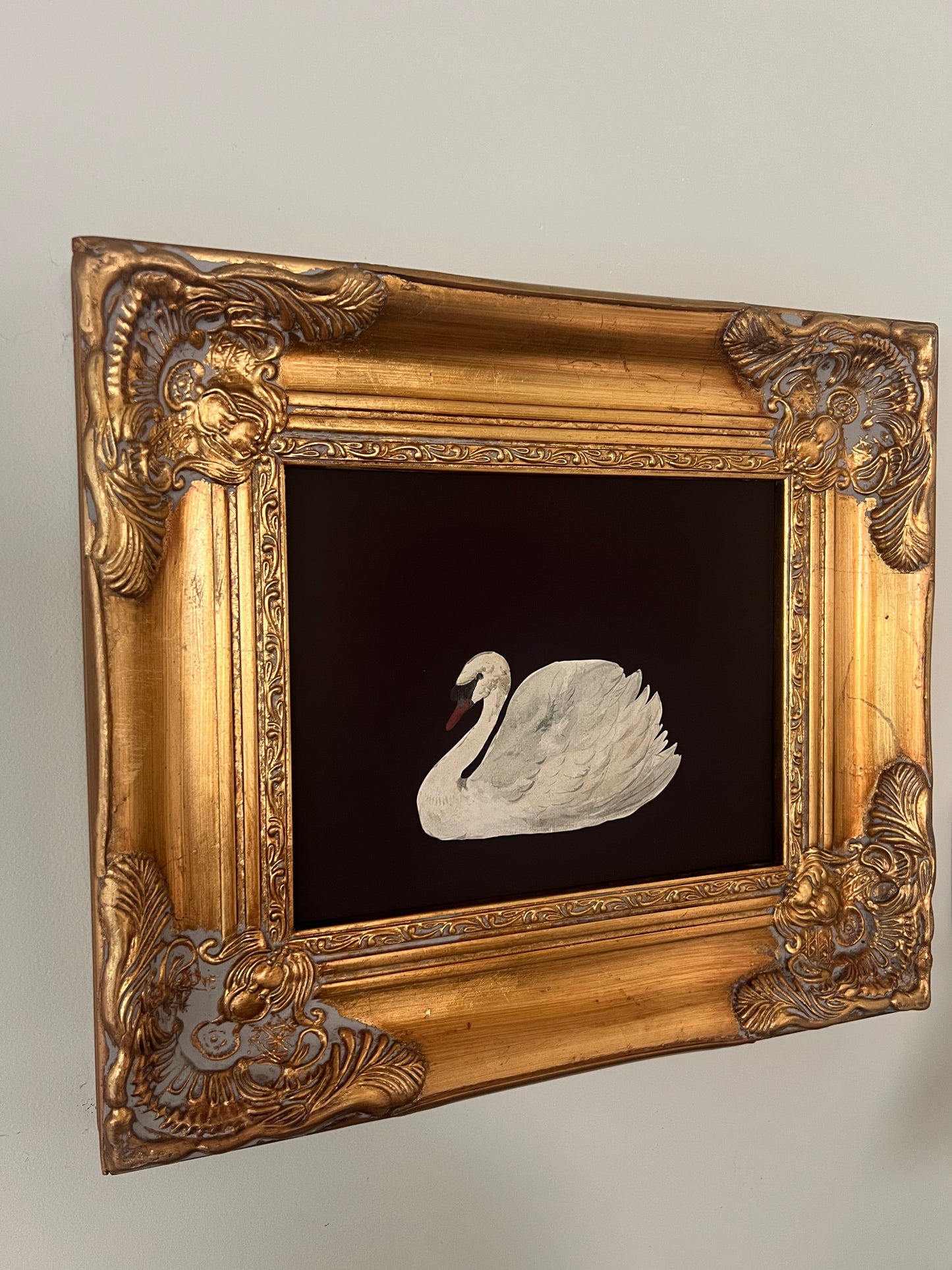 Swan Print in Gold Gilt Frame