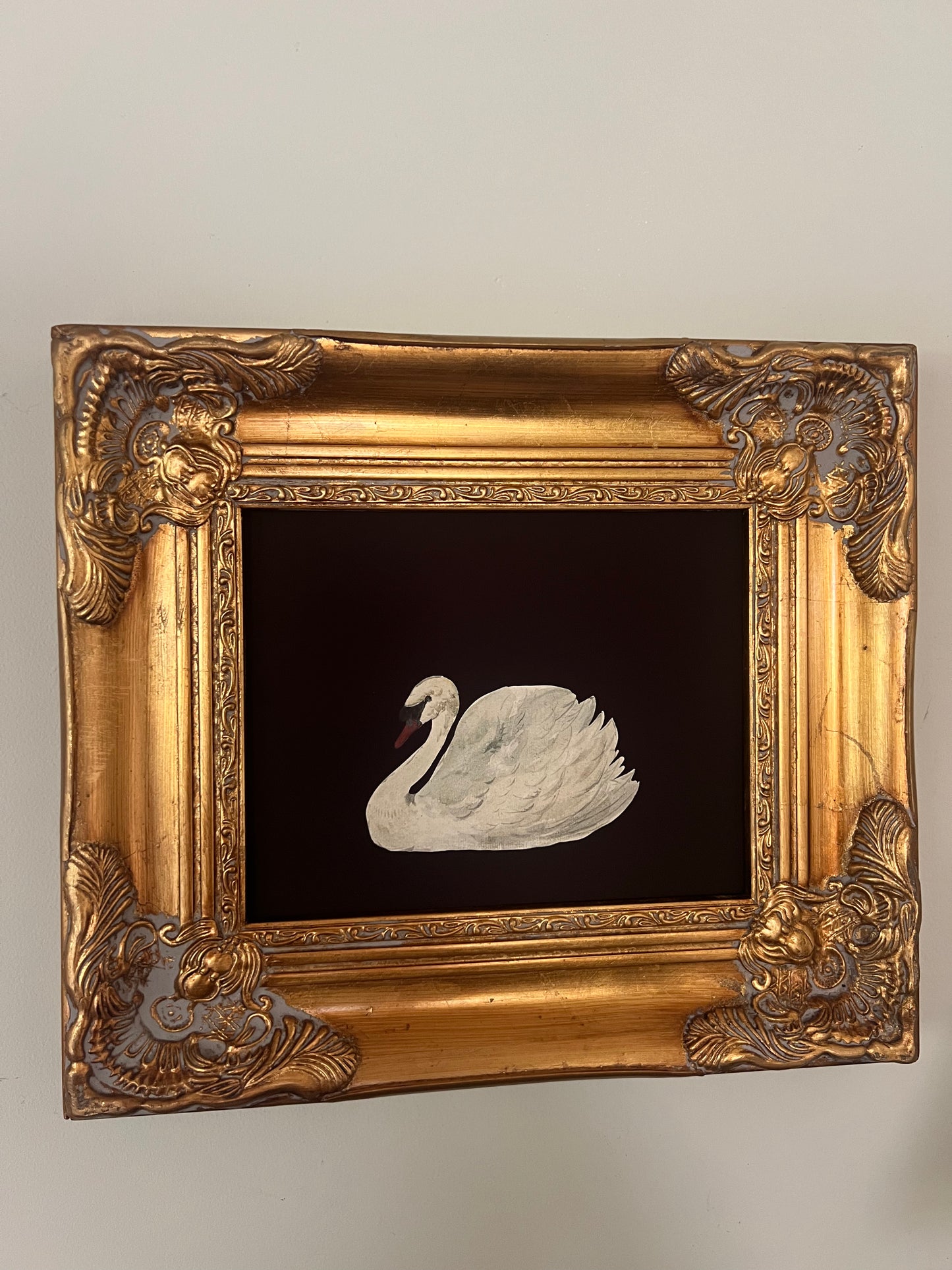 Swan Print in Gold Gilt Frame