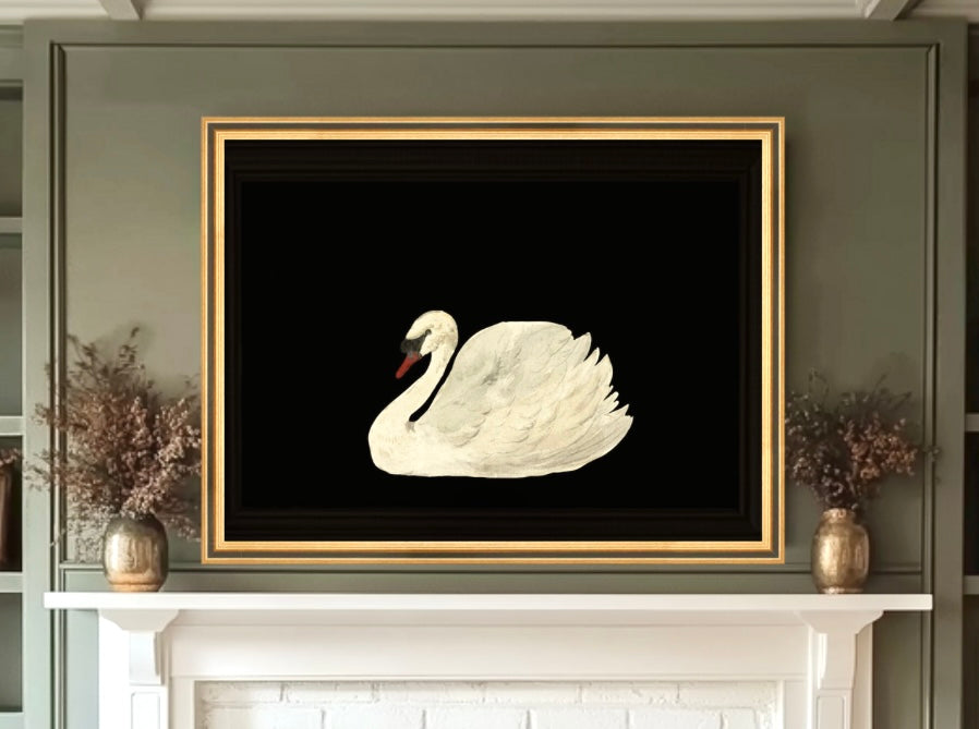 XL 18 x 24 inch Swan Print in Gold Over Black Frame