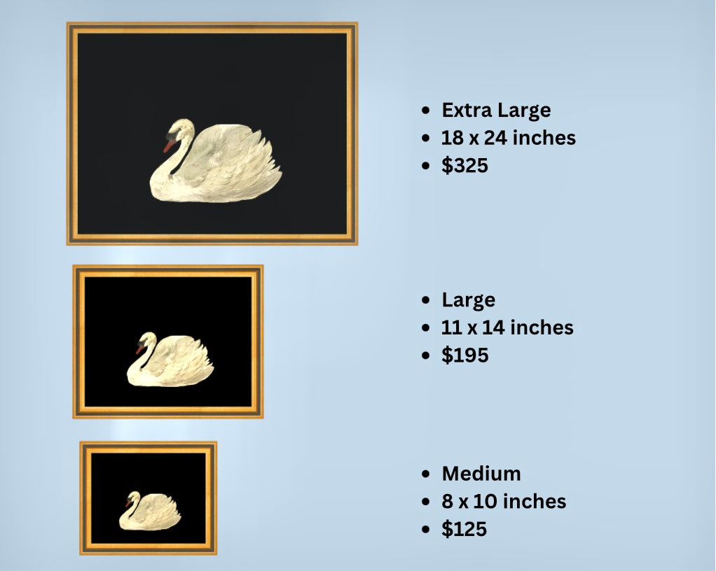 XL 18 x 24 inch Swan Print in Gold Over Black Frame